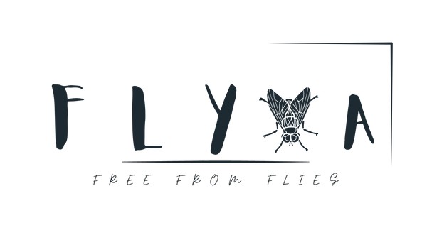 Flyva