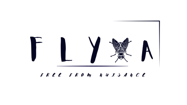 Flyva